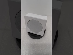 HAUT-PARLEUR DE BÂTI DU MUR FWS-103