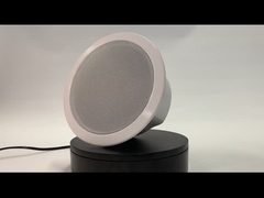 HAUT-PARLEUR DE PLAFOND IP POE FIP-906
