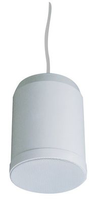 système pendant accrochant d'intérieur de PA de haut-parleur de 10W 20W