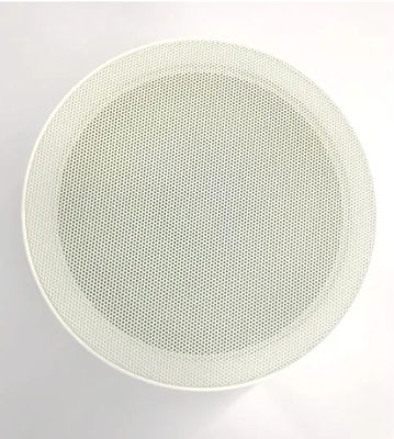 Système d'adresses public 8&quot; double haut-parleur de ConeCeiling