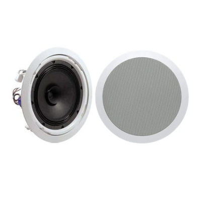 Système d'adresses public 8&quot; double haut-parleur de ConeCeiling