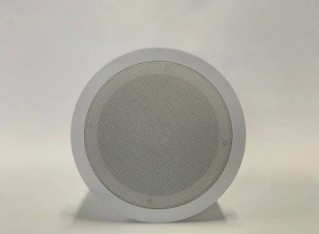 6&quot; système d'adresses public de haut-parleur coaxial de plafond